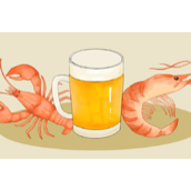 啤酒不能和什么一起吃-啤酒的同食禁忌