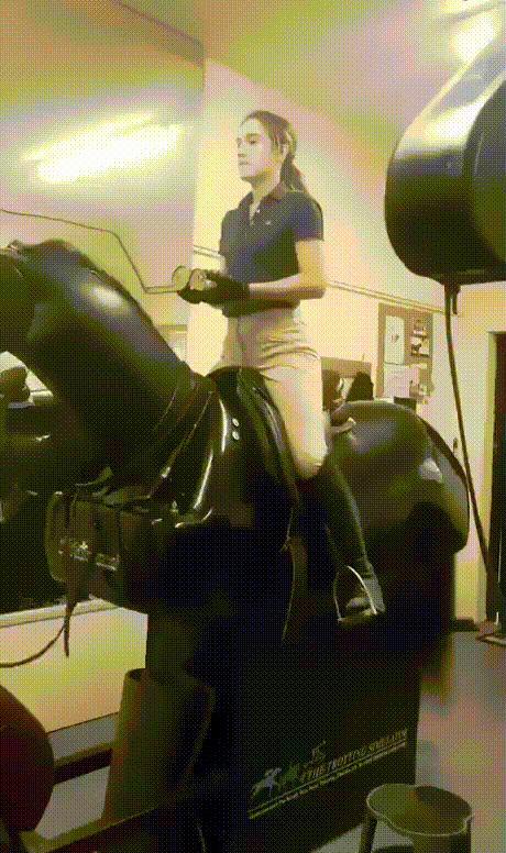 本站