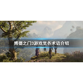 《博德之门3》游戏里各术语介绍     有哪些术语？