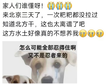 网络用语这方水土好像不想养我是什么意思