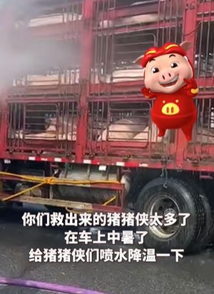 《抖音》解救ggbond表情包高清无水印分享