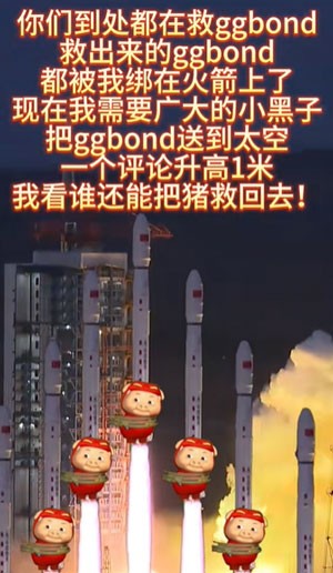 《抖音》解救ggbond表情包高清无水印分享