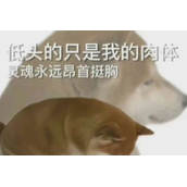 《抖音》citywalk是什么梗