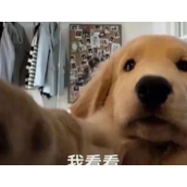《抖音》当地人都这么吃是什么梗