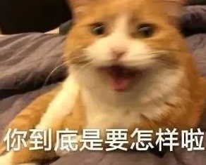 《抖音》恐龙扛狼是什么意思