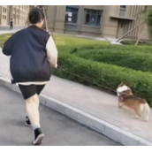 《抖音》学生证换狗是什么梗