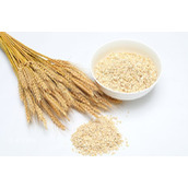 燕麦片的功效和作用-燕麦片的营养价值