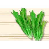 油麦菜怎么做好吃-油麦菜的美味做法