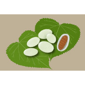 蚕蛹的营养价值是什么-有什么功效