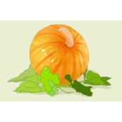 南瓜不能和哪些食物一起吃-南瓜的同食禁忌