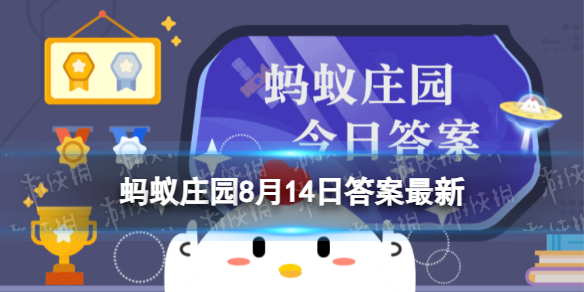 本站1