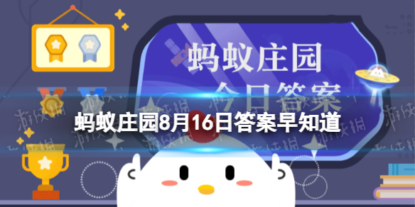 本站1
