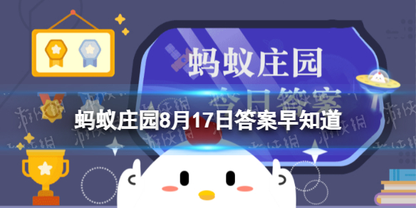 本站1