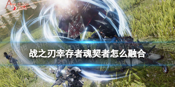 本站1