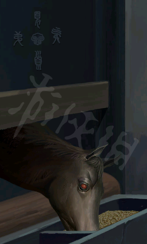 本站31