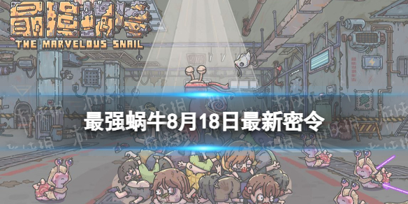 本站1
