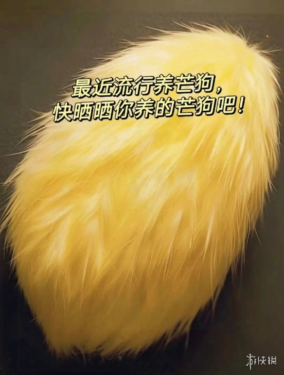 本站2