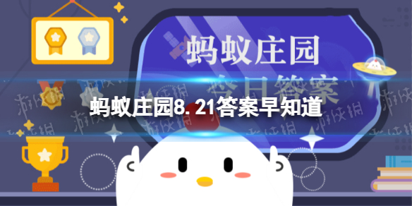 本站1