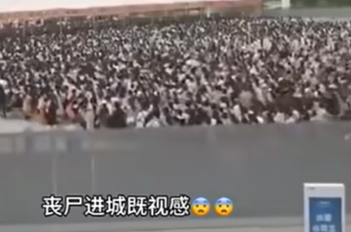 TF十周年段子大赏是什么意思 TF十周年段子大赏出处及含义