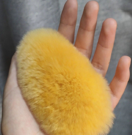 质疑芒狗理解芒狗养芒狗是什么梗