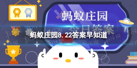 本站1