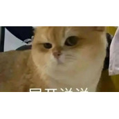 《抖音》哈密瓜有一种哈味是什么梗