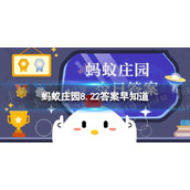 山竹的果脐像小花，“花瓣”数量越多，代表什么 蚂蚁庄园8.22答案早知道
