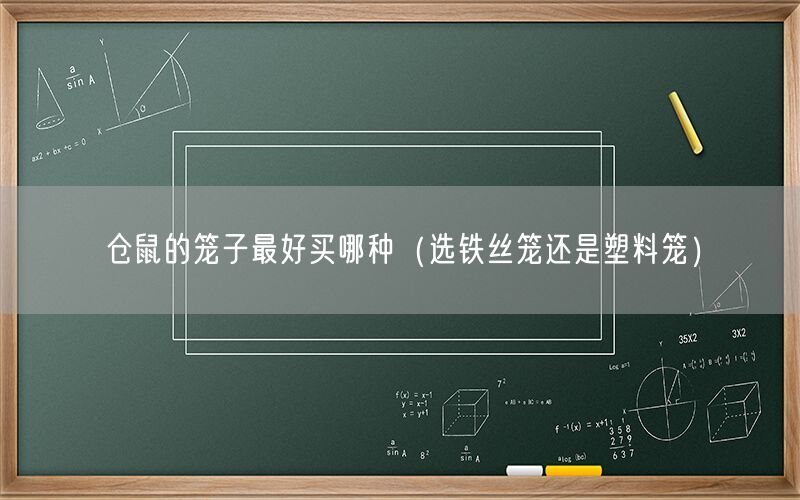 仓鼠的笼子最好买哪种（选铁丝笼还是塑料笼）