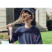 12星座的明星有