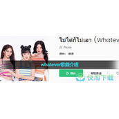 《抖音》whatever歌曲介绍
