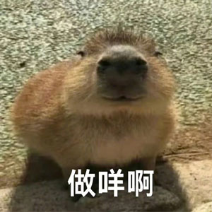 水豚精神症状是什么意思 水豚精神症状含义及出处