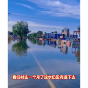 深的地方有膝盖深！河北一村庄洪灾后积水1个月未退