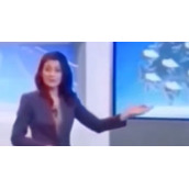 《抖音》海公牛是什么梗