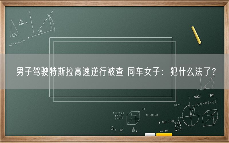 男子驾驶特斯拉高速逆行被查 同车女子：犯什么法了？