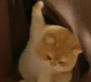 《抖音》那里躺了一块钱是什么梗