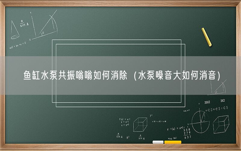 鱼缸水泵共振嗡嗡如何消除（水泵噪音大如何消音）