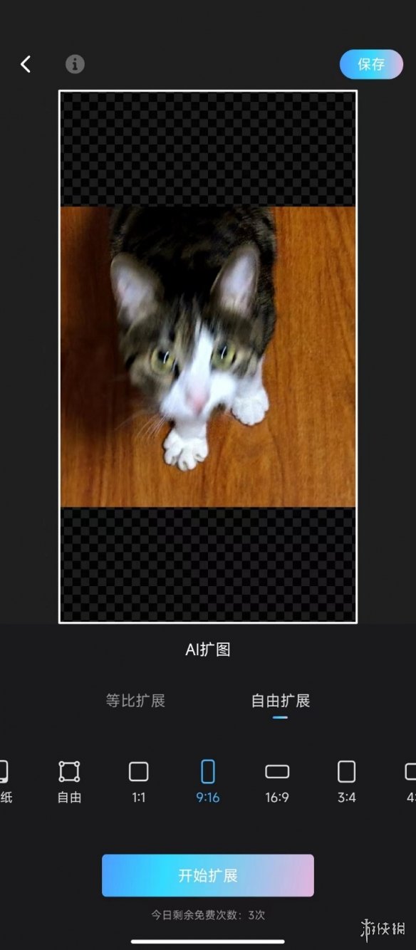 本站4