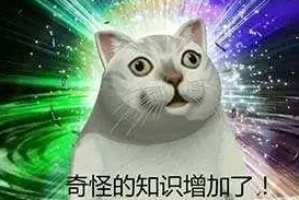 里巴是什么意思 里巴梗介绍