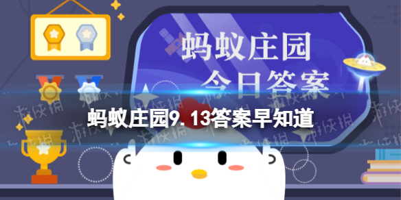 本站1