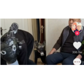 毛驴拉磨走不出那个圈什么意思毛驴拉磨走不出那个圈梗介绍