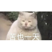 《抖音》塑料袋子舞是什么梗