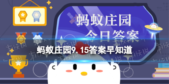 本站1