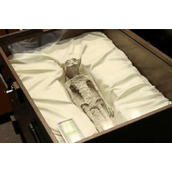 专家曾称外星人不敢来地球 背后真相实在让人惊愕