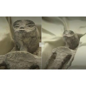 外星人?墨西哥国会揭晓非人类化石 原因竟是这样令人震惊