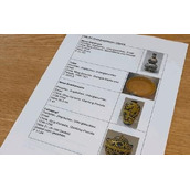 德国博物馆中国明清时代瓷器被盗 快来看看是什么情况