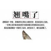 给哥们钓成翘嘴了是什么意思给哥们钓成翘嘴了含义及出处