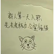 重庆一公司回应新员工可领猫 背后真相是什么？