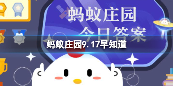 本站1