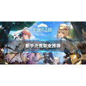 《圣境之塔》新手开荒职业推荐