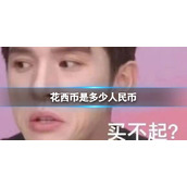 花西币是多少人民币 1花西币等于多少人民币